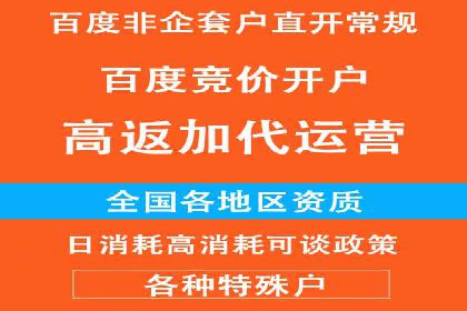 竞价广告策略：网络推广在旅游行业的运用案例